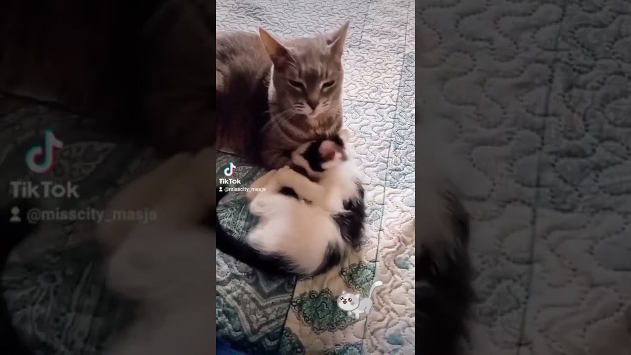 Он мне покоя не даёт смотреть онлайн