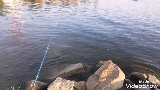 ВЕЧЕРНИЙ КЛЁВ КАРАСЯ! УЛИЦА СКАЛЬНАЯ(город Запорожье). смотреть онлайн