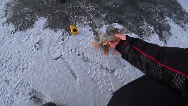 первый лёд 2023-2024 хорошая погодка,опять "бомба" работает... )) смотреть онлайн