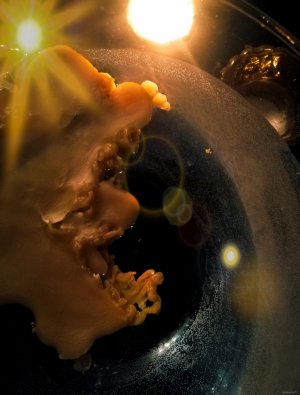 ДИАГНОСТИКА  ПОРЧИ ПО ВОСКОВОЙ ОТЛИВКЕ. РАСШИФРОВКА ОТЛИВКИ