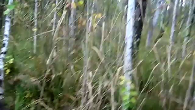 Вездеход Соломономобиль-3 в торфяной просеке 4 смотреть онлайн