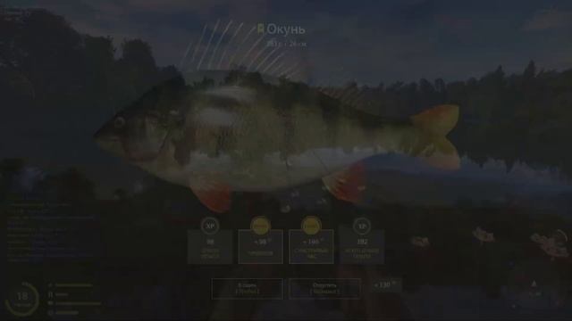 ГДЕ ФАРМИТЬ НОВИЧКУ НА ОЗ.КОМАРИНОМ | РР4 ТОЧКИ КЛЁВА смотреть онлайн