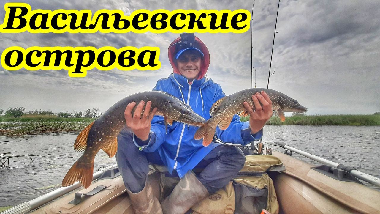 СПИННИНГ НА ВОЛГЕ/ВАСИЛЬЕВСКИЕ ОСТРОВА/ЩУКА ТВИЧИНГОМ/ОКУНЬ НА МИКРОДЖИГ/ГОЛАВЛЬ НА ВОБЛЕРЫ /САМАРА смотреть онлайн