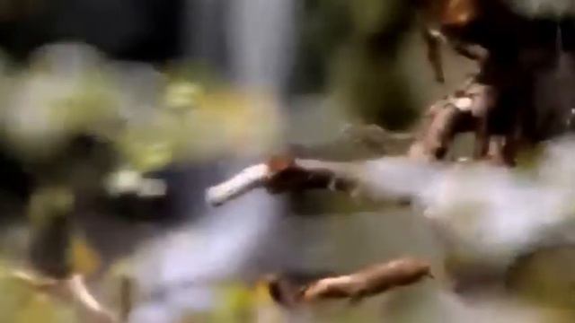 Копия видео любовь смотреть онлайн