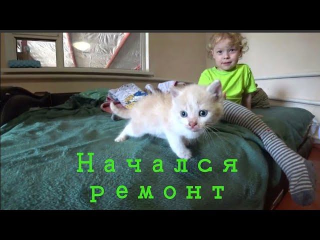VLOG| КУПИЛИ ДОМ НА ЮГЕ// РЕМОНТ В ГОСТИНОЙ//ОГОРОДНЫЕ ДЕЛА //СОЖГЛИ МУСОР// смотреть онлайн