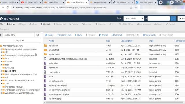 Comment Réinitialiser ou Récupérer un mot de passe WordPress Perdu depuis phpMyAdmin смотреть онлайн