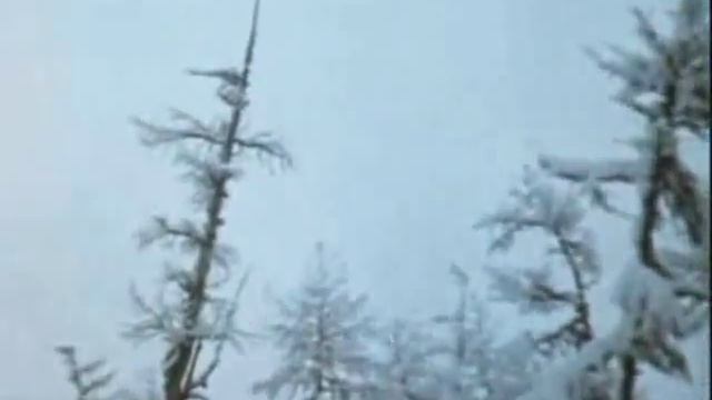 аяврик смотреть онлайн