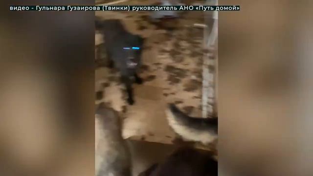 Дайджест 11.05.2021 смотреть онлайн
