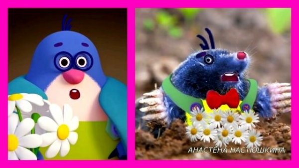 Be be bears in real life!