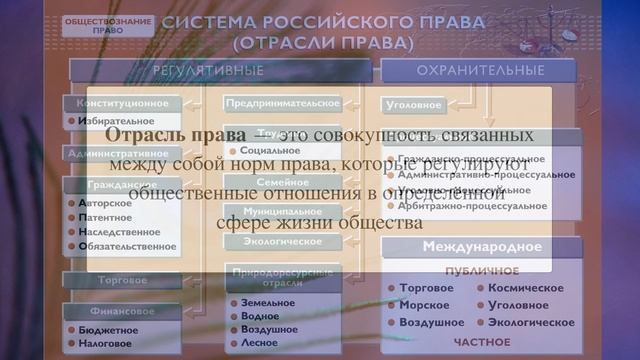 § 11 "Система российского права", Обществознание 7 класс смотреть онлайн