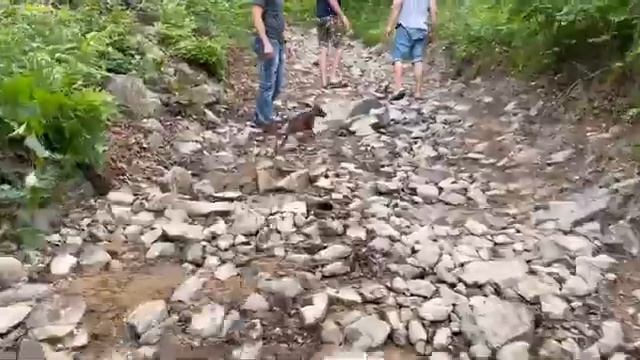 Дорога на бухту Ежовая смотреть онлайн