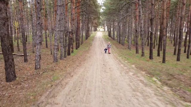 Ташкентский лес смотреть онлайн