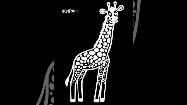 Развивающие картинки для детей с первых месяцев жизни|Черно-белые| 0-3 месяца смотреть онлайн