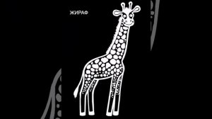 Развивающие картинки для детей с первых месяцев жизни|Черно-белые| 0-3 месяца