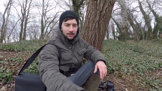 Il PIOPPO TREMULO (Populus tremula) - Ottimo simbionte per MORCHELLE, HELVELLE ED ALTRI FUNGHI смотреть онлайн