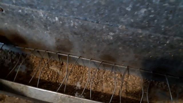 Бункерная кормушка непросыпайка с размерами