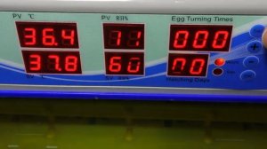 АВТОМАТИЧЕСКИЙ ИНКУБАТОР ДЛЯ ЯИЦ WQ-55/AUTOMATIC INCUBATOR FOR EGGS WQ-55