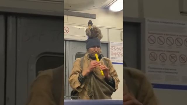 Атмосфера подмосковных электричек ? смотреть онлайн