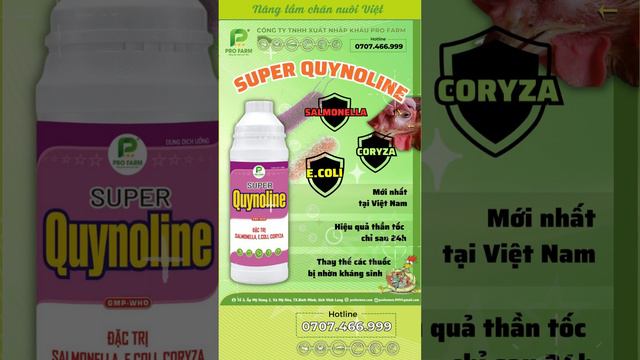 SUPER QUYNOLINE - SIÊU KHẮC TINH SALMONELLA, E.COLI, CORYZA | PRO FARM смотреть онлайн