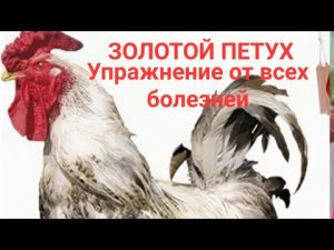 Золотой петух стоит на одной ноге. Упражнение от всех болезней