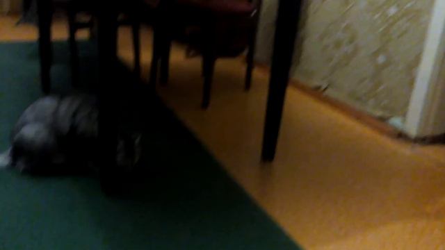 Лежачего не бьют, лежачего не бьют!)) смотреть онлайн