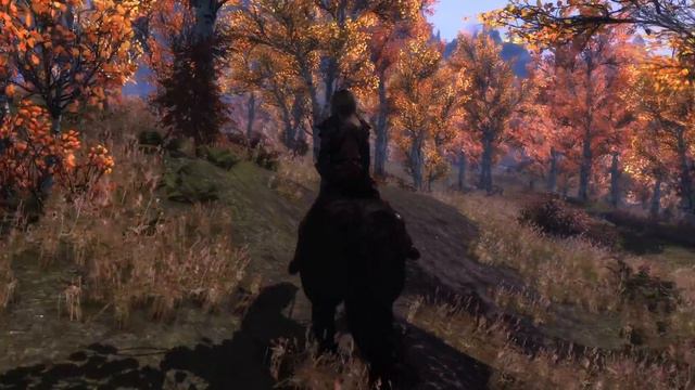 Riften - Skyrim Late Afternoon 01 Aspens Flora Overhaul - WATER - SMIM - COT смотреть онлайн