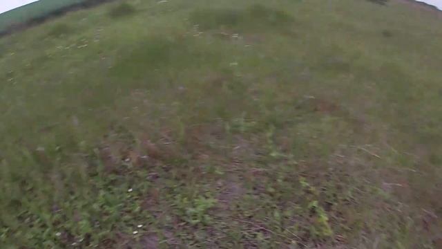 Набрали говорушек (летние луговые опята). смотреть онлайн