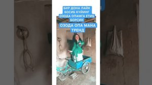 Озода тренд синий Жигули