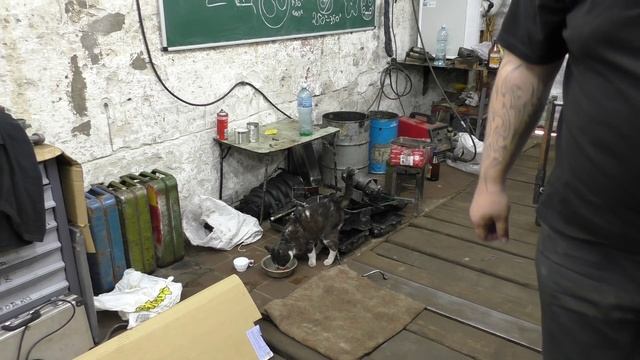 Офисная скотинка :) смотреть онлайн