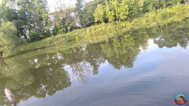 Новый спиннинг от фирмы Dayo Nano Аtarashii ХР 3 бланк стекло рост 1.65 тест 0.2-1гр смотреть онлайн