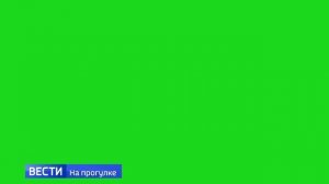Плашка «Вести. На прогулке» (16 - 30.01.2022) Хромакей [ОПИСАНИЕ]