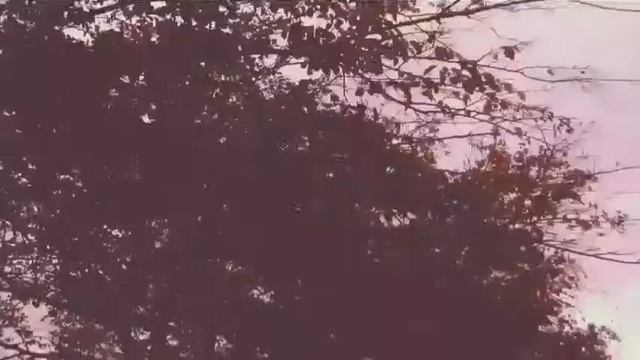 Ваз 2115 тазы валят!!! смотреть онлайн