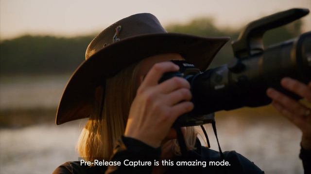 Nikon Z 8 | Tips for photographing birds in flight with Georgina Steytler смотреть онлайн