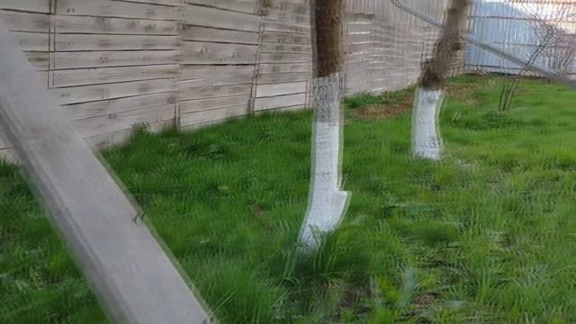 Строительный Арсенал