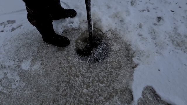 ХАПУГИ РВУТСЯ ОТ КАРАСЯ! Я СТОЛЬКО РЫБЫ НЕ ВИДЕЛ! Рыбалка на хапугу хлопок. смотреть онлайн