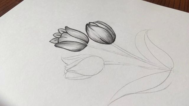 Simple Flower Sketch / without sketching material смотреть онлайн