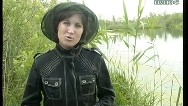 Мальки карпа