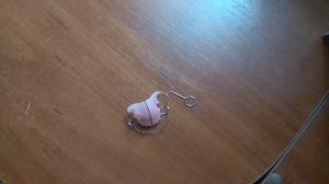 УХОД ЗА ЗУБНОЙ ПЛАСТИНОЙ