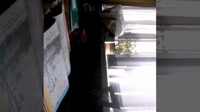 Как сделать домашку за 5 минут! смотреть онлайн