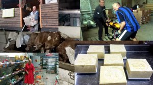 БУДНИ В УСАДЬБЕ