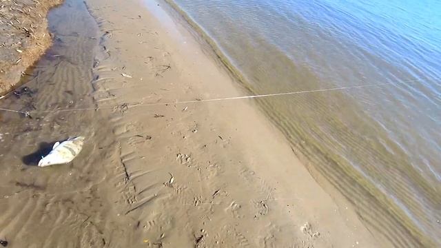 Рыбалка на резинку с Александром смотреть онлайн