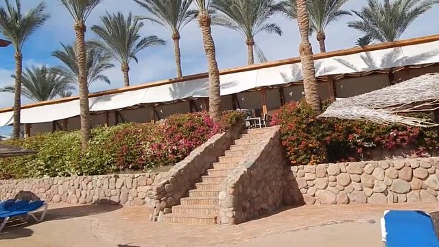 Египет, Шарм-эль-Шейх 2016. Отель Sunrise Diamond Beach 5*. Пляж