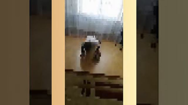 19 апреля. Самостоятельные занятия дома. ВИЗ-2004 смотреть онлайн