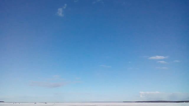 Гуси-лебеди 24.03.2017