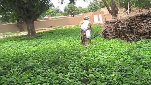 Burkina Faso: Self-initiated Credit System Boosts Women's Businesses