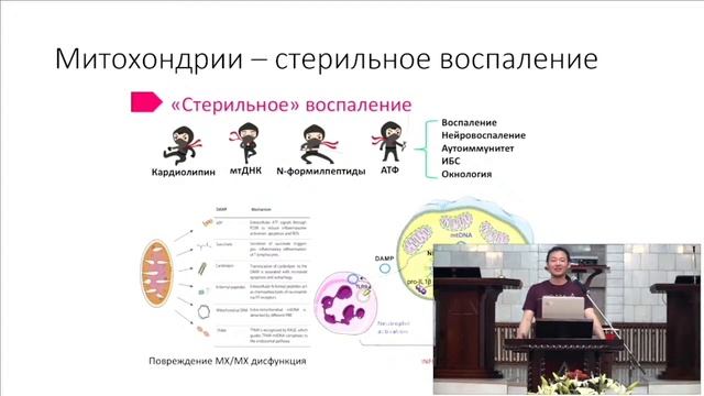 Лекция смотреть онлайн