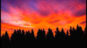 Пропавшая повариха. Таёжные истории