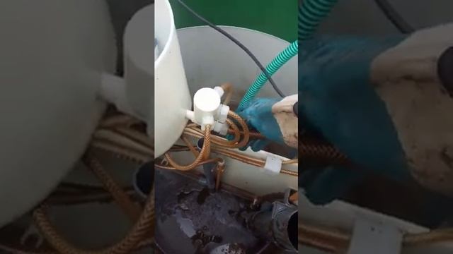 Как почистить септик Евробион самостоятельно смотреть онлайн