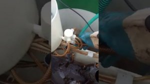 Как почистить септик Евробион самостоятельно