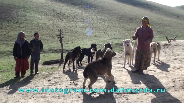 Зарубежный эксперт поражен красотой аборигенных САО Таджикистна - саги дахмарда 2 смотреть онлайн